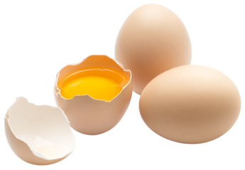 Eggs isolated