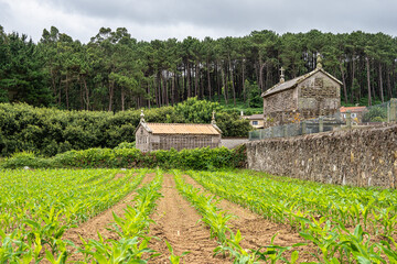 Beautiful village of Vigo in Spain, unique for its horreos, traditional granary barns