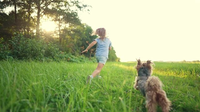 happy family. kid and dog run legs close-up in the park at sunset. people in the park concept boy son joyful running. happy family summer. little kid running. kid fun. summer fun kid concept dream