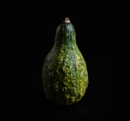 pumpkin dark background