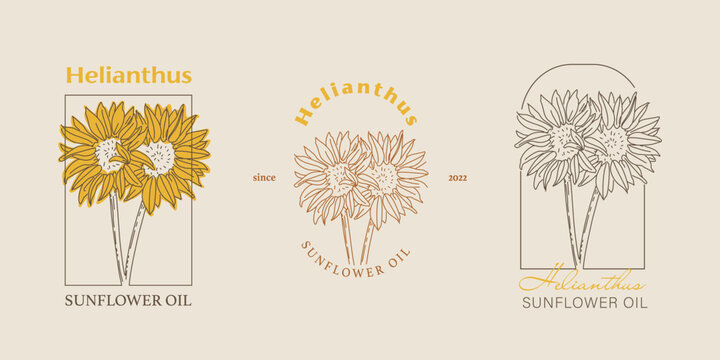 Vector hand painted sunflower plant illustration. Modern simple outline icons, hand drawn sketch, modern simple logo design