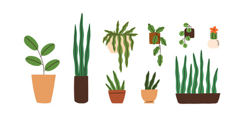 Potted house indoor plants set. Green-leaf home decoration, blossomed cactus, succulent growing in flowerpot, planter. Different foliage decor. Flat vector illustrations isolated on white background