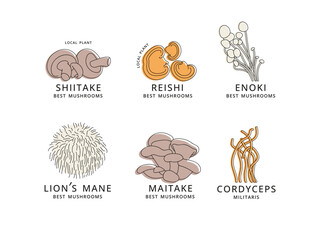 Vector set of icons in linear style - enok, shiitaki, maitake, cordyceps, reishi and lion's mane mushrooms. Logo signs.
