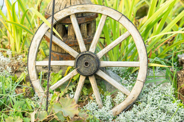 old wagon wheel