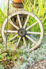 old wagon wheel