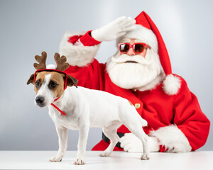 Santa claus and santa's helper in sunglasses on a white background. Jack russell terrier dog in a deer costume.