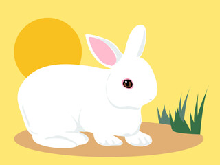 白いうさぎのイラスト