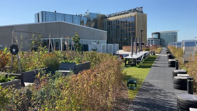 beautiful rooftop terraces with urban gardening beets