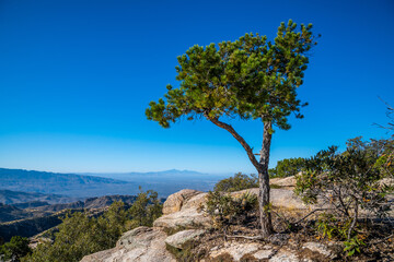 Fototapeta na wymiar An overlooking view of Tucson, Arizona