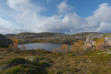 Fototapeta na wymiar In autumn, tundra with a lake and trees with yellow leaves.