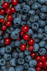 close up, blueberry and red currant background, vertical image. top view. place for text