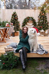 Young woman on background of Christmas tree with white samoyed dog in santa hat outdoors. Yard decoration for New Year.