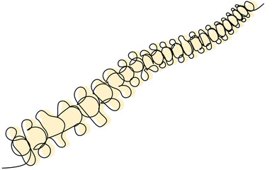 Spine in one line with a yellow silhouette on a white background. Human back health concept. Cartoon vector spine. Stock graphics.