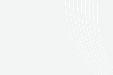 Abstract White gray gradient background 
