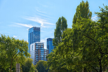 Administrative center in Warsaw, Business office buildings in downtown central district with green trees, Skyscrapers with glass facade against blue sky
