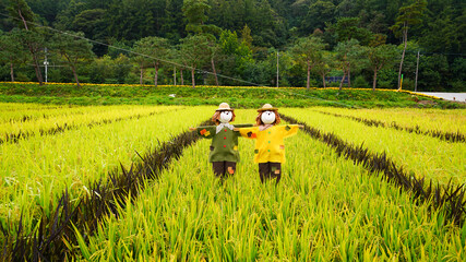 Obraz premium Korean Scarecrow