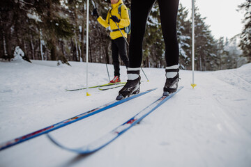 Low section and close-up of skiers doing croos country skiing in the middle of forest.