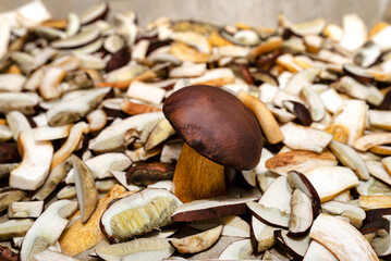 Background of sliced and raw edible mushrooms, lying on baking paper, standing boletus visible.