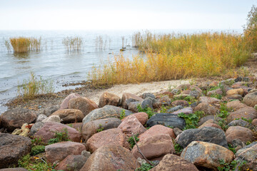 Fototapeta na wymiar a stone shore by the bay wiht grass in autumn on cloudy day