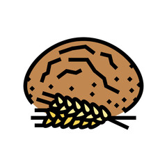 bread barley ear color icon vector. bread barley ear sign. isolated symbol illustration