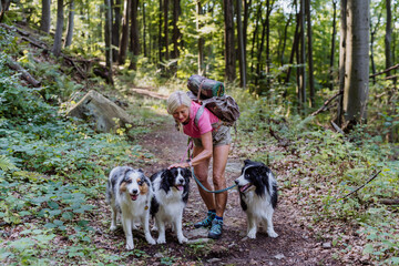 Naklejka na ściany i meble Senior woman walking with her three dogs in forest.