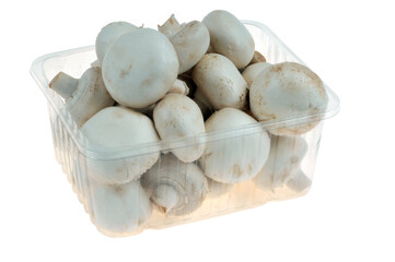 Barquette en plastique de champignons de Paris en gros plan sur fond blanc