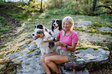 Obraz premium Senior woman having break during walking her three dogs in forest.