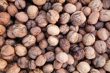 bunch of freshly gathered walnuts
