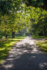 Parkland area in england uk 