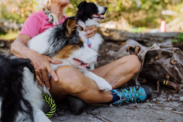 Senior woman having break during walking her three dogs in forest.