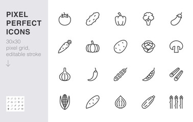 Vegetables line icon set. Pumpkin, cucumber, broccoli, carrot, zucchini, asparagus, potato, garlic minimal vector illustration. Simple outline sign for veggies. 30x30 Pixel Perfect, Editable Stroke