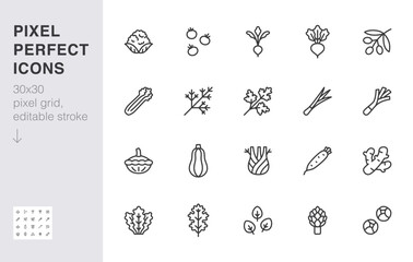 Vegetables line icon set. Kale, spinach, pumpkin, cherry tomato, cauliflower, beetroot, daikon minimal vector illustration. Simple outline sign for veggies. 30x30 Pixel Perfect, Editable Stroke