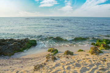 sunny morning scenery at the sea. calm waves washing the sandy beach. transparent water and bright blue sky