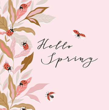 Vector insect seasonal card with lettering - Hello spring. Hand-drawn ladybugs and floral frame on the pink background. 