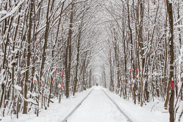 a railway in the winter forest tunnel of love