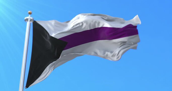 The demisexual flag waving at wind. Loop