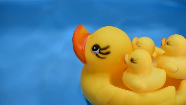 yellow toy rubber duck in the water mother and child rubber duck family concept