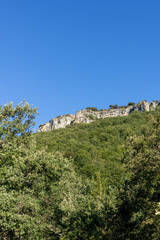 Paysage de montagne dans la région Estella en Espagne, forêt de pin et montagne blanche calcaire