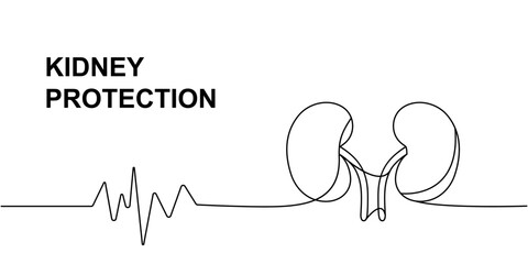 Human kidneys with heart pulse one line continuous drawing. Human organ continuous one line illustration. Vector minimalist linear illustration.
