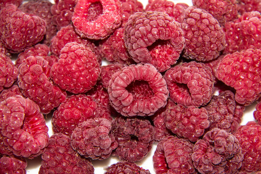 The background from the red frozen raspberries. The natural frozen berry raspberries