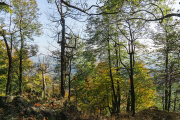 Idyllic and panoramic view of Czech Republic, National Park, Bohemian Switzerland, České Švýcarsko