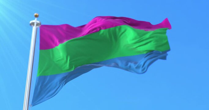 Polysexuality Pride Flag Waving. Loop