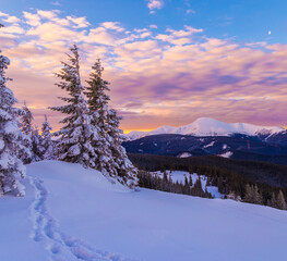 winter landscape in the mountains