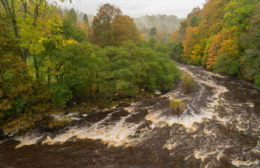 River Allen at Staward Gorge, Northumberland, UK