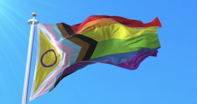 intersex inclusive pride flag waving. Loop