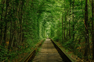 a railway in the spring forest. Tunnel of Love, green trees and the railroad