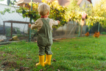 Little boy standying and looking at hen in their garden.