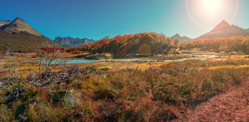 Panoramic view over magical austral forest, peat bogs and high mountains in Tierra del Fuego...