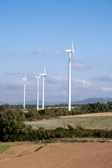 Wind power in agricultural area in Spain