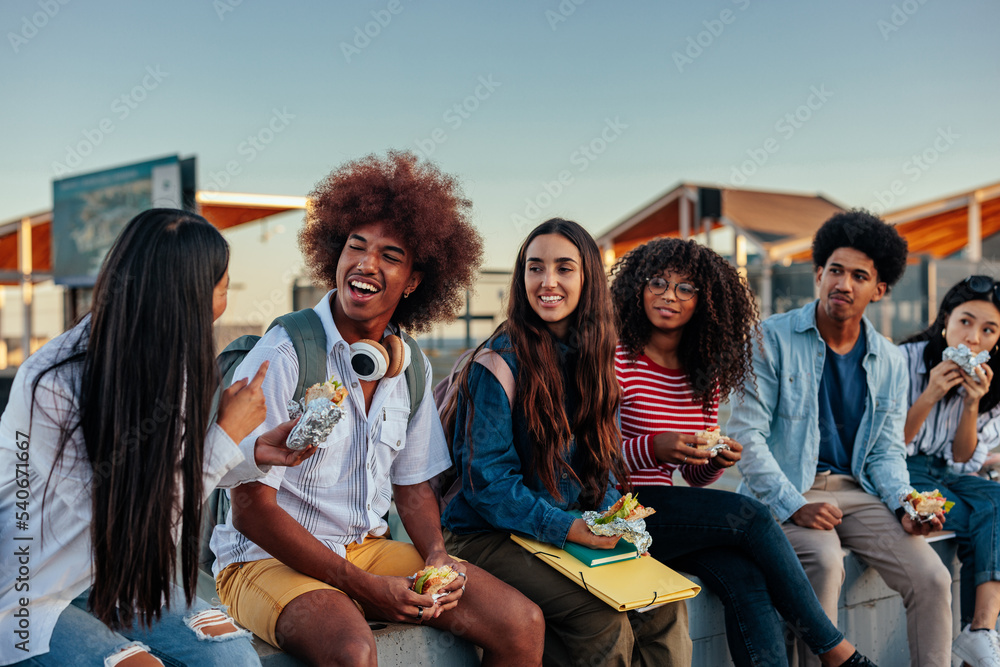 Wall mural Students bonding over lunch outside.